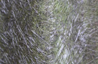 Black Tar fibreglass roof work